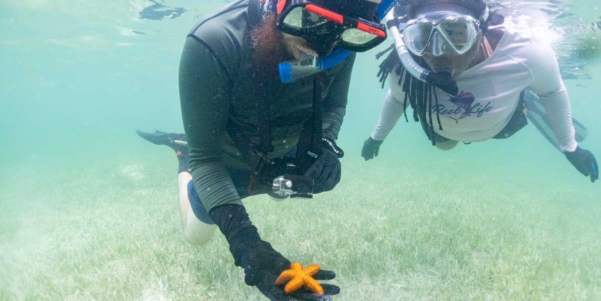 Stdy Abroad Studnets Examining Starfish